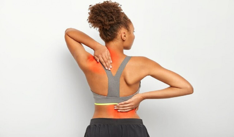 Spine Anatomy and Pain Causes